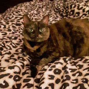 Meet your Posher, Geraldine